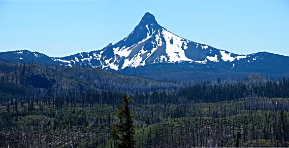 [Two photos stitched together showing a partially snow-covered mountain with the remanants of a forest fire (lots of tree trunks with no branches) in the foreground.]